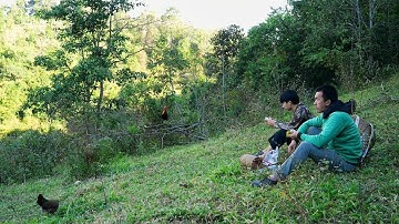 ต่อไก่ป่าไม่ได้ไก่ แต่วิวอย่างสวย (คอกวัว)