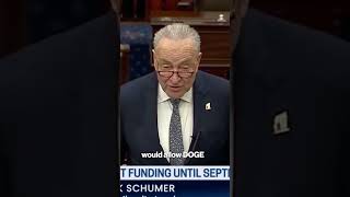 Sen. Schumer will vote to advance GOP funding bill, fearful shutdown would empower DOGE #shorts