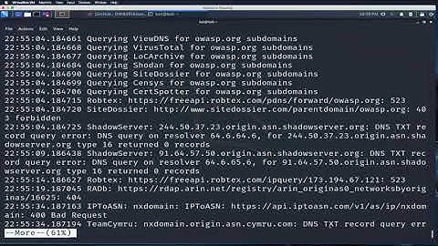 OWASP Amass Red Team Village Training - by Jeff Foley (Cafffix)