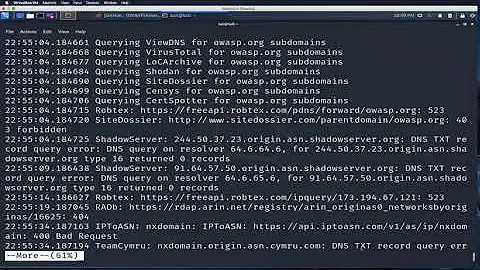 OWASP Amass Red Team Village Training - by Jeff Foley (Cafffix)