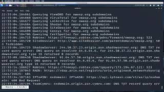 OWASP Amass Red Team Village Training - by Jeff Foley (Cafffix)
