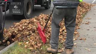 Brampton leaf vacuum 2020