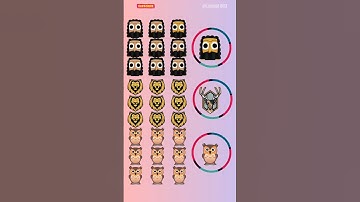 Spot the odd one out | find odd | #shorts #quiz