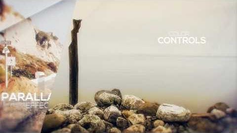 Elegant Parallax Slideshow | After Effects Template 12519495