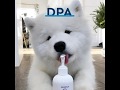 Seal Oil for Pets: DPA Makes the Difference