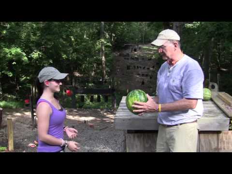 Watermelon Shoot