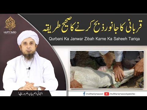 janwar-zibah-karne-ka-tariqa-|-mufti-tariq-masood-sahib