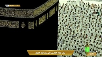 صلاة المغرب الثلاثاء 3-2-1444هـ للشيخ ياسر الدوسري -  أواخر سورة النازعات [27-آخرها]