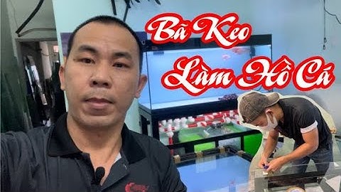 Cách Bã Keo Kính Hồ Cá I Hồ Cá Đoàn Chương
