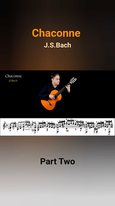 Bach - Chaconne Part Two (Segovia Transcription) | 1 Minute Guitar Masterpiece
