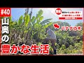 【密着】山奥の古民家に移住した25歳の豊かな暮らし。【#40】