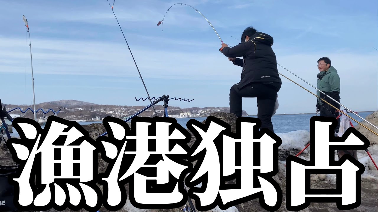 【北海道】【釣り】札幌近郊の「超人気漁港」で独占釣り‼️