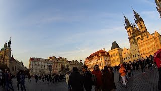 Прага / Квартира в Праге/ Пиво / Еда / Достопримечательности