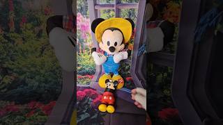 E-I-Oh Slinky & Farmer Mickey