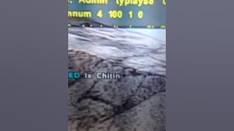 Admin commands for console on ark