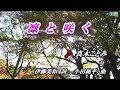 真木ことみ【凛と咲く】カラオケ 2017