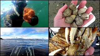 Living off the Ocean in British Columbia (Catch & Cook)