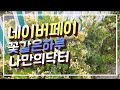 네이버페이)꽃같은하루(5/23)