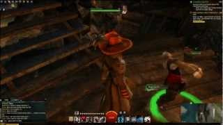 Guild Wars 2 NPC bug