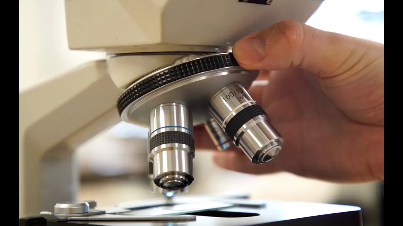 Usos y cuidados del microscopio - YouTube