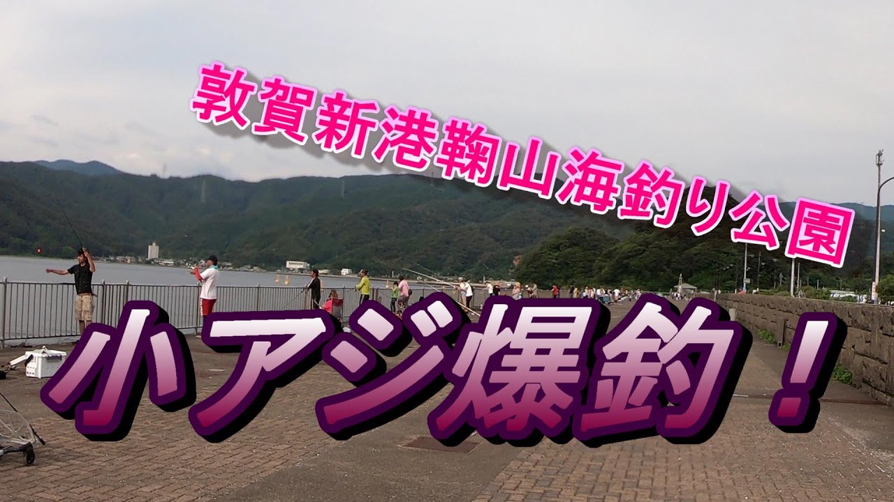 福井県敦賀市 釣りポイント小アジ釣れてます 福井県敦賀新港鞠山釣り公園 魚釣り系you Tuberまとめサイト Fishing 福井県敦賀市 釣りポイント小アジ釣れてます 福井県敦賀新港鞠山釣り公園 魚釣り系you Tuberまとめサイト Fishing