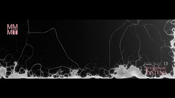 MMMT Tutorial 13 (Promo): Stigmergic systems