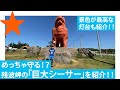 【読谷村/沖縄】 残波岬は「灯台」に「巨大シーサー」に最高のインスタ映えスポットでした