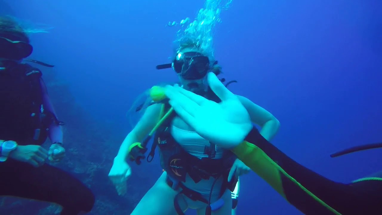 Scuba diving jobs grand cayman