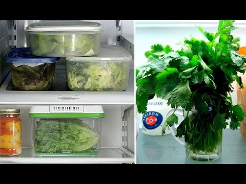 Эти продукты нельзя хранить в холодильнике!