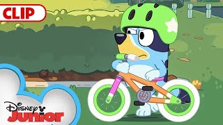 Bluey Season 1 Episode 11 