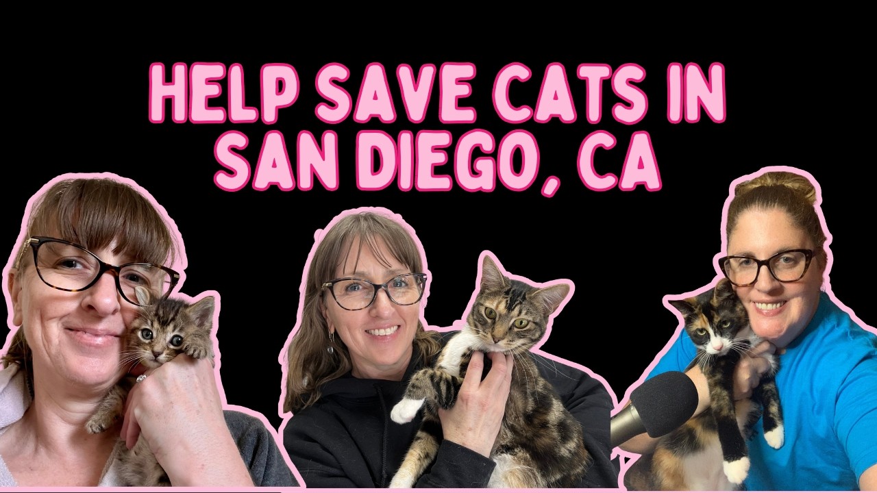 Love Your Feral Feline: A Special Podcasthon Episode of The Story of My Pet Podcast