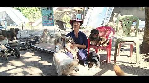 Gia đình Ngọc Bích xin kính Chào quý mạnh thường quân #xuhuongyoutube 