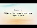 Единственная артерия пуповины