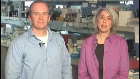 Parsing out blood stem cells