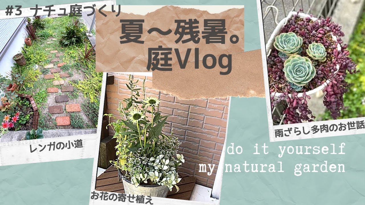 3 庭づくりvlog 剪定 多肉の枯葉取り 夏のお花の寄せ植え Youtube