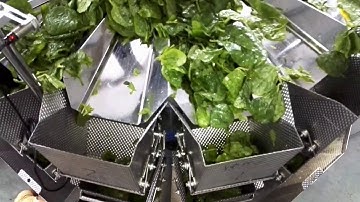 Vegetables salad greens weigher packing machine -Smartpack