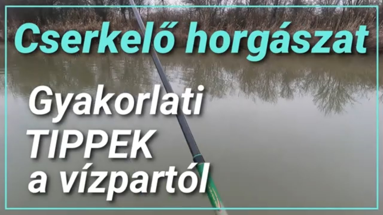 Cserkelő horgászat-Gyakorlati Tippek a vízpartról