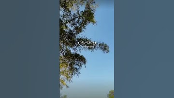 القرآن الكريم يريح القلب 🎧😴القارئ عبدالله الخلف من سورة الروم…🤍