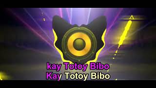 🔥💃 TOToy Bibo – Version 2 (DJ Paul Bigata Remix) | TikTok Dance Karaoke 🎶