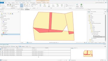 ArcGIS Pro: Topology