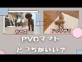 【他社比較】PVCマットにハマっています。【ペットマット】トイプードルのTaruto &Rasuku