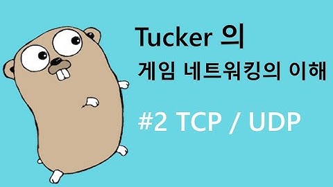 Tucker 의 게임 네트워킹의 이해 2 - Protocol TCP/UDP
