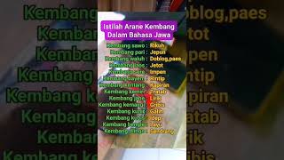 berikut ini,`istilah anane kembang dalam bahasa jawa dan sekitarnya!!🔥,"',#short