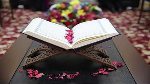 #وقل_للمؤمنات_يقضضن ابصارهن  سوره النور ايه ٣١ 🍃