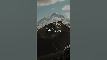 وعسي ان تكرهوا شيئا وهو خير لكم/ القارئ فارس عباد #قرآن