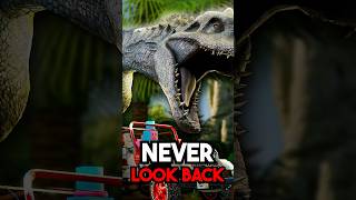 Never Look Back...