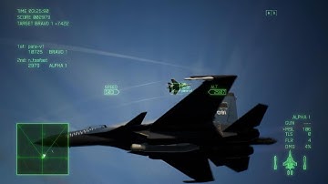 ACE COMBAT 7: 1v1 vs Para v1 Su37 vs Su37 schooled Again 😭🙃