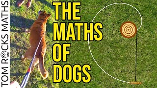 Can Dogs Do Math?