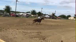 1st 1D Dade City, FL WPRA Barrel Race Net Worth