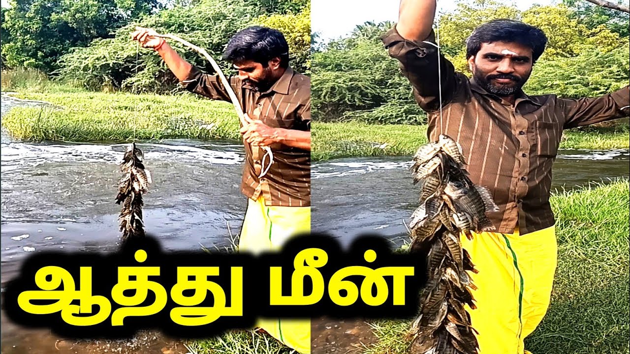 தூண்டில் வச்சு இத்தனை 🐟 மீன் பிடிச்ச அதிசயம் 🐠 River Fishing video in Tamil @SangeethaMuthuVlogs